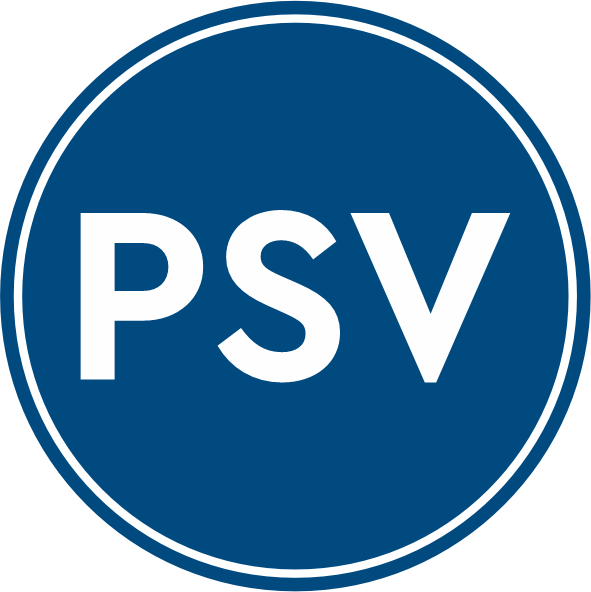SEGURANÇA VIÁRIA